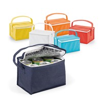 Bolsa Térmica 3 Litros Em Non-woven Personalizada