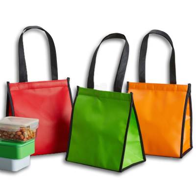 Bolsa Térmica 6 Litros em TNT Personalizada